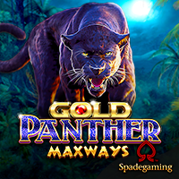 daunemas-gold-panther